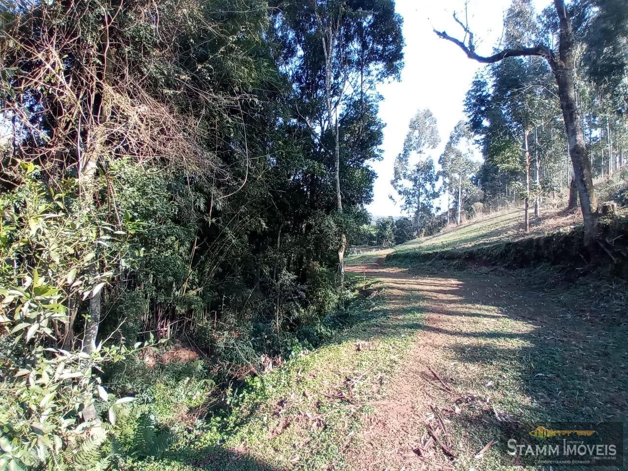 Fazenda à venda com 4 quartos, 3m² - Foto 33