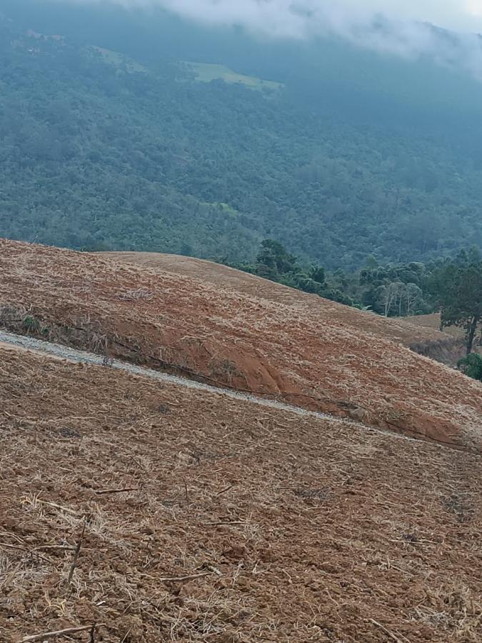 Fazenda à venda com 3 quartos, 260000m² - Foto 27