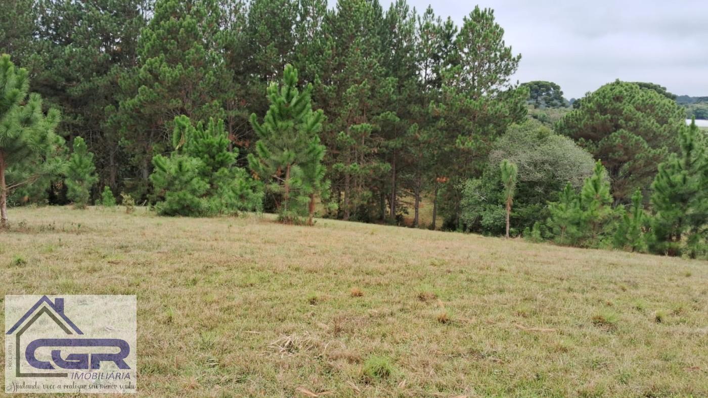 Loteamento e Condomínio à venda, 143200m² - Foto 10