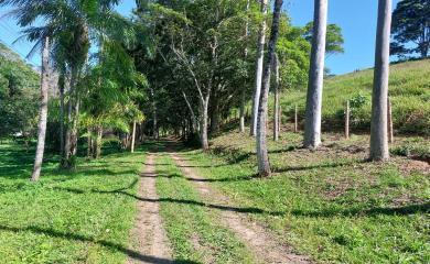 Fazenda à venda com 3 quartos, 387200m² - Foto 20