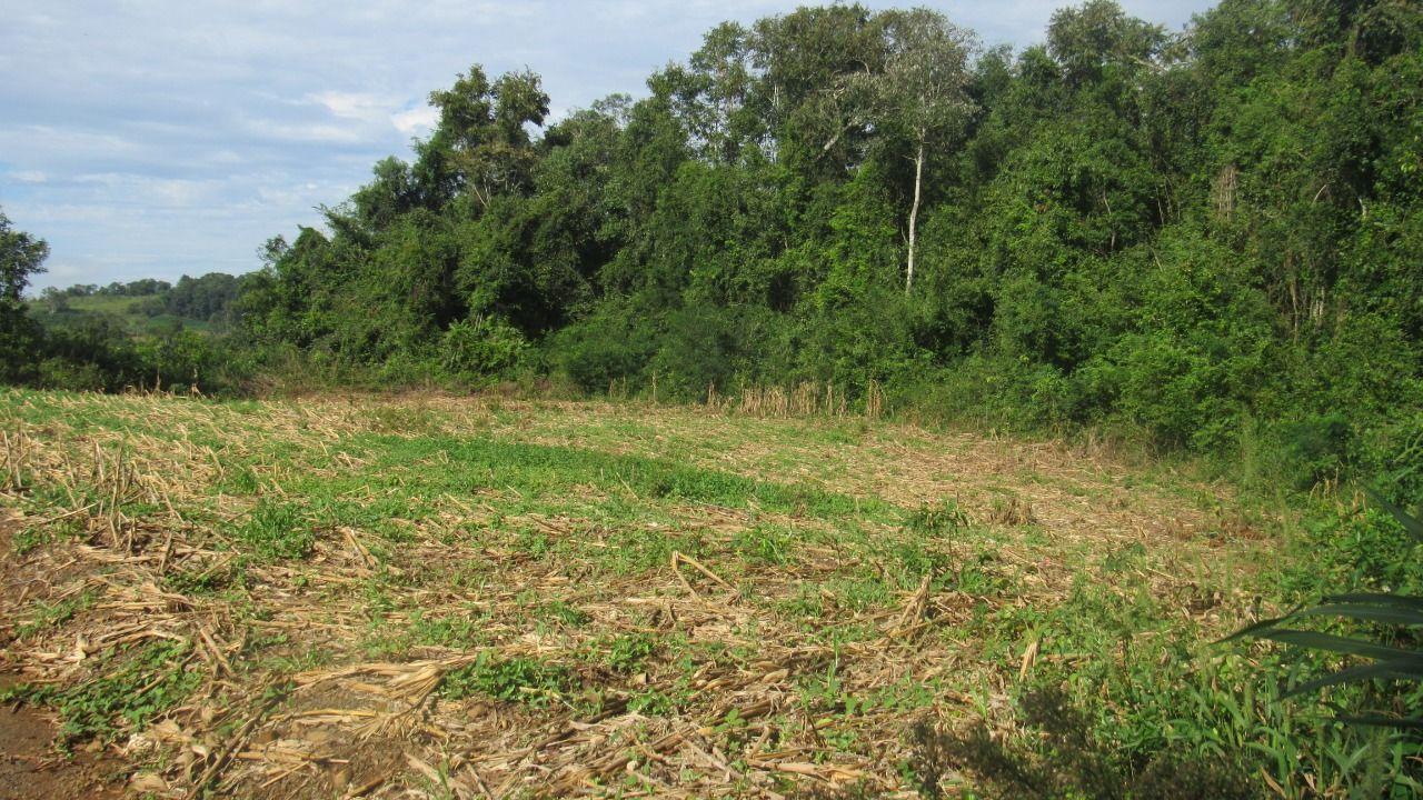 Loteamento e Condomínio à venda, 199000m² - Foto 15