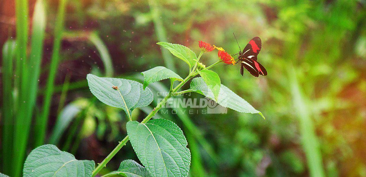 Loteamento e Condomínio à venda, 728M2 - Foto 15