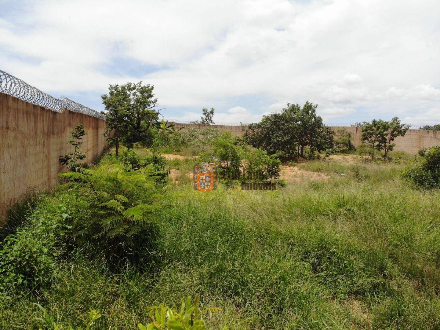 Terreno, 11 hectares - Foto 7