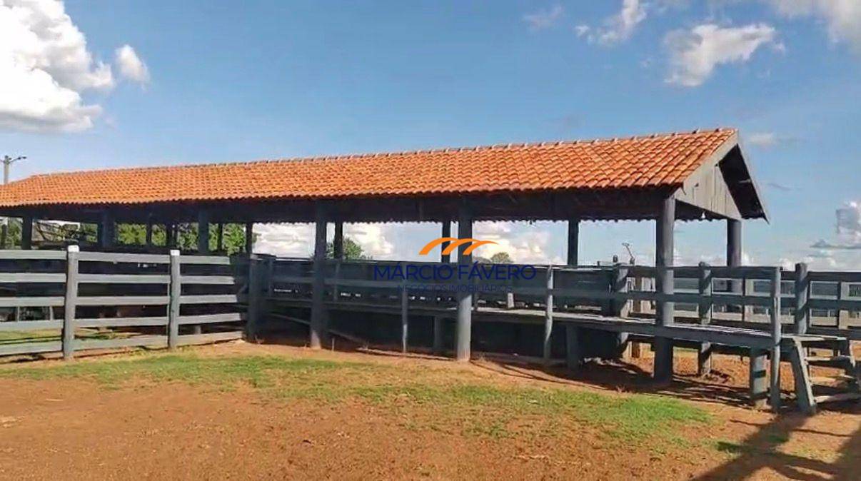 Fazenda, 557 hectares - Foto 3