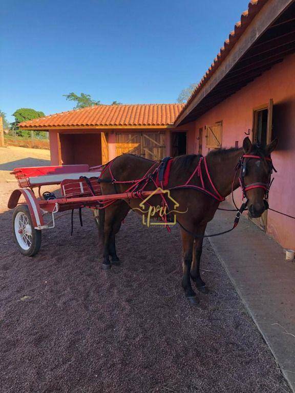 Fazenda à venda com 5 quartos, 1500m² - Foto 11