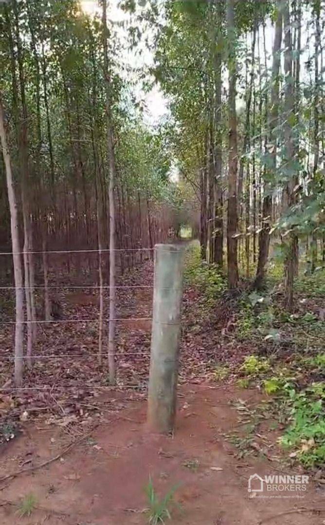 Chácara à venda com 4 quartos, 210m² - Foto 20