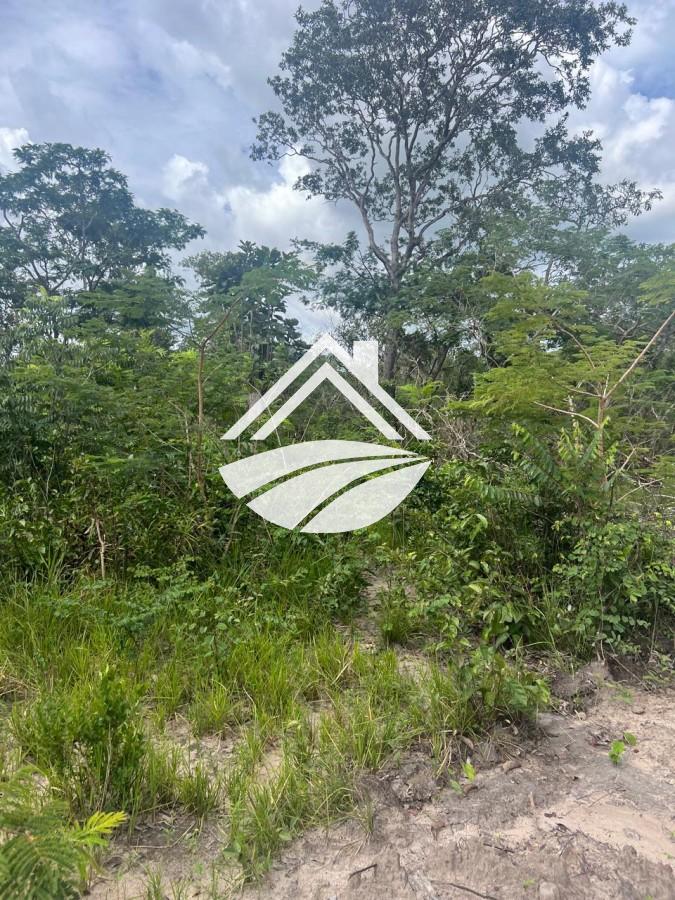Fazenda à venda, 1m² - Foto 10
