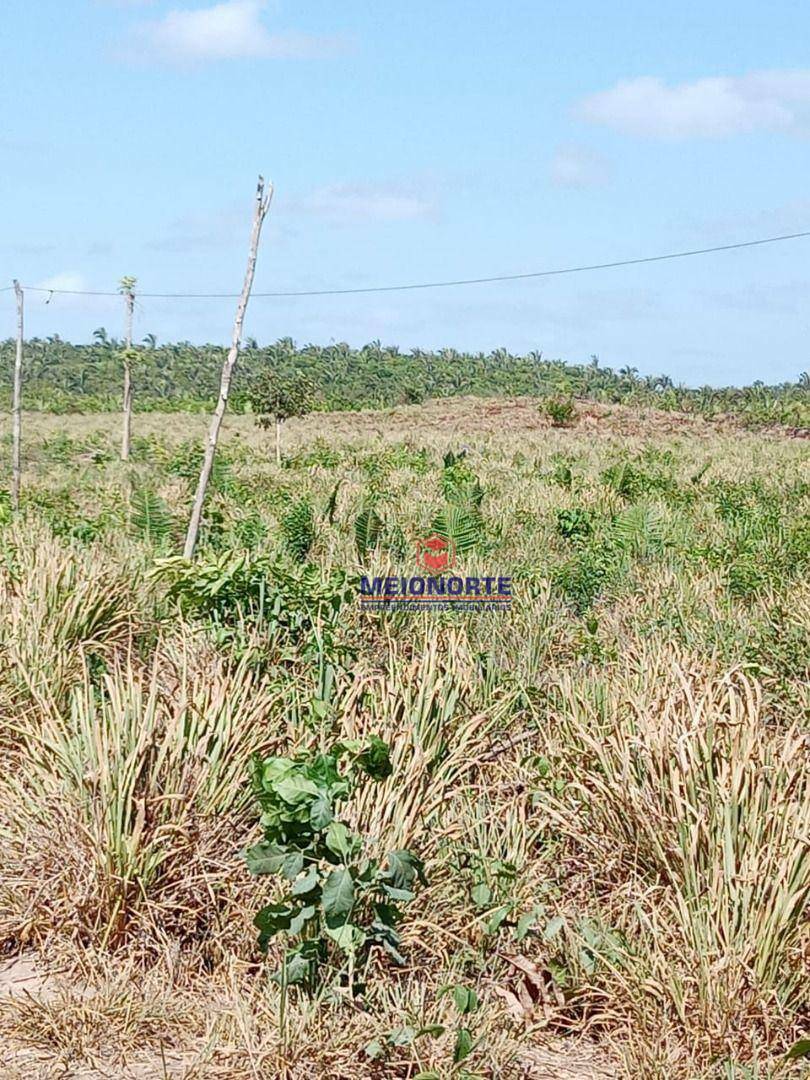 Fazenda à venda com 1 quarto, 2000000M2 - Foto 8