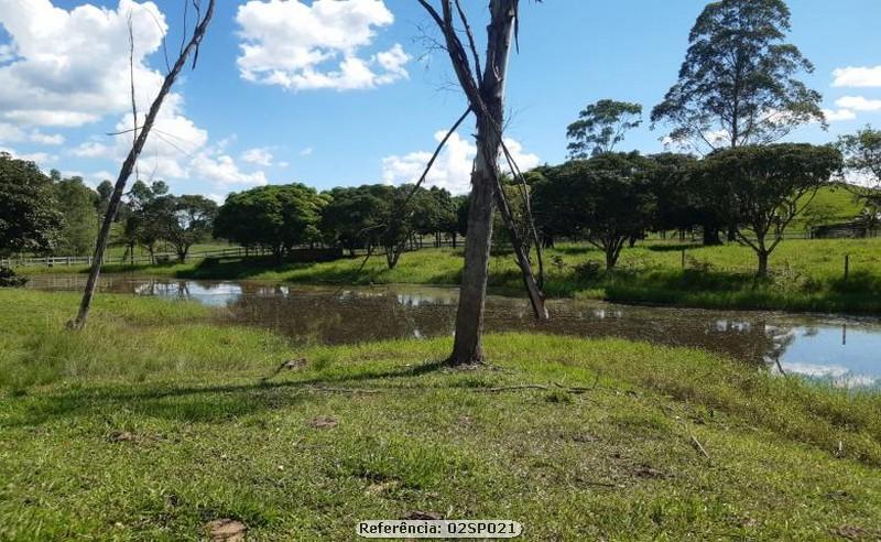 Fazenda à venda com 3 quartos, 200000m² - Foto 3