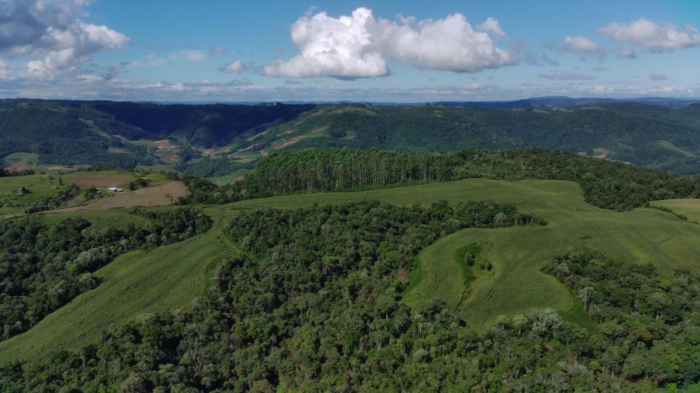 Fazenda à venda com 2 quartos, 925500m² - Foto 8