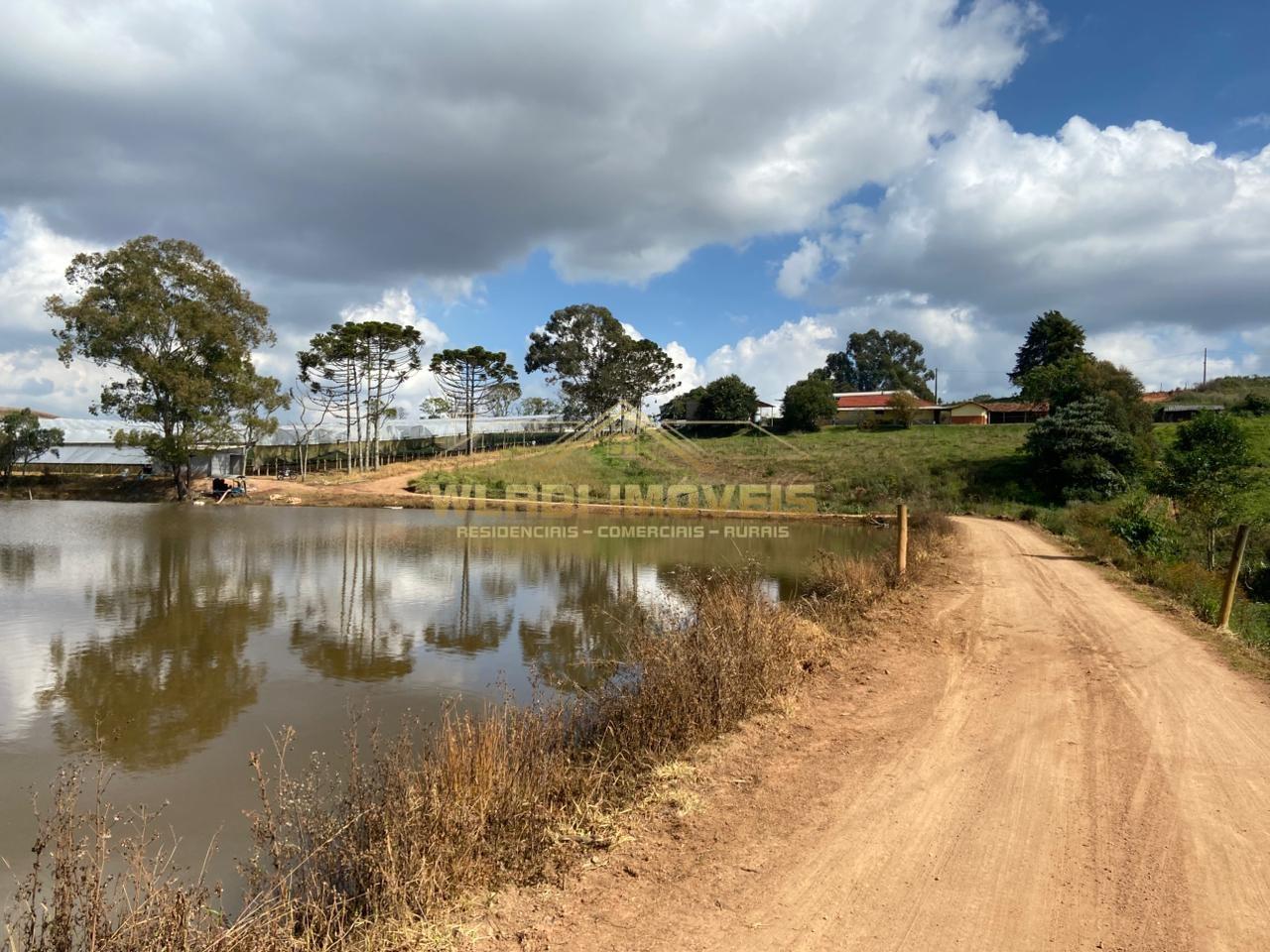 Fazenda-Sítio-Chácara, 70 m² - Foto 17