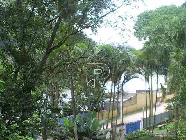 Terreno, 6000 m² - Foto 6