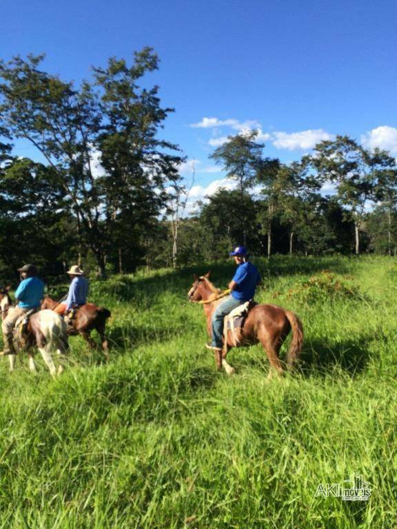 Fazenda à venda, 75000000M2 - Foto 5