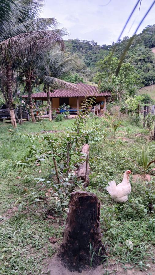 Fazenda à venda com 4 quartos, 2500m² - Foto 3