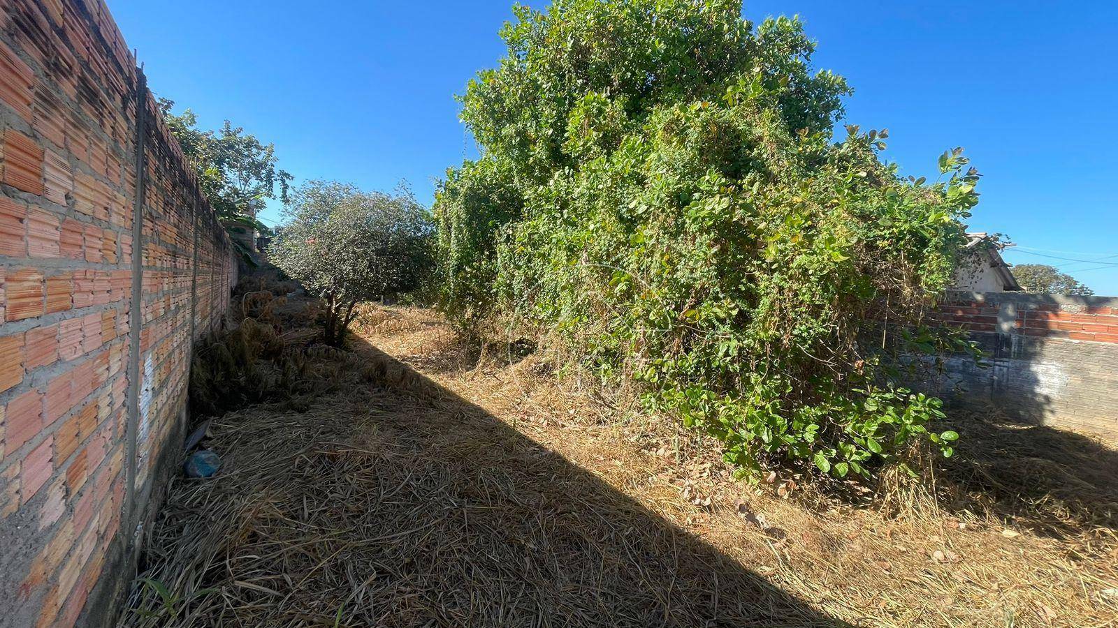 Terreno à venda, 375M2 - Foto 4