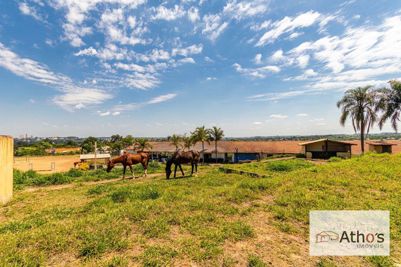 Haras e Área Rural Padrão à venda, 20140M2 - Foto 12