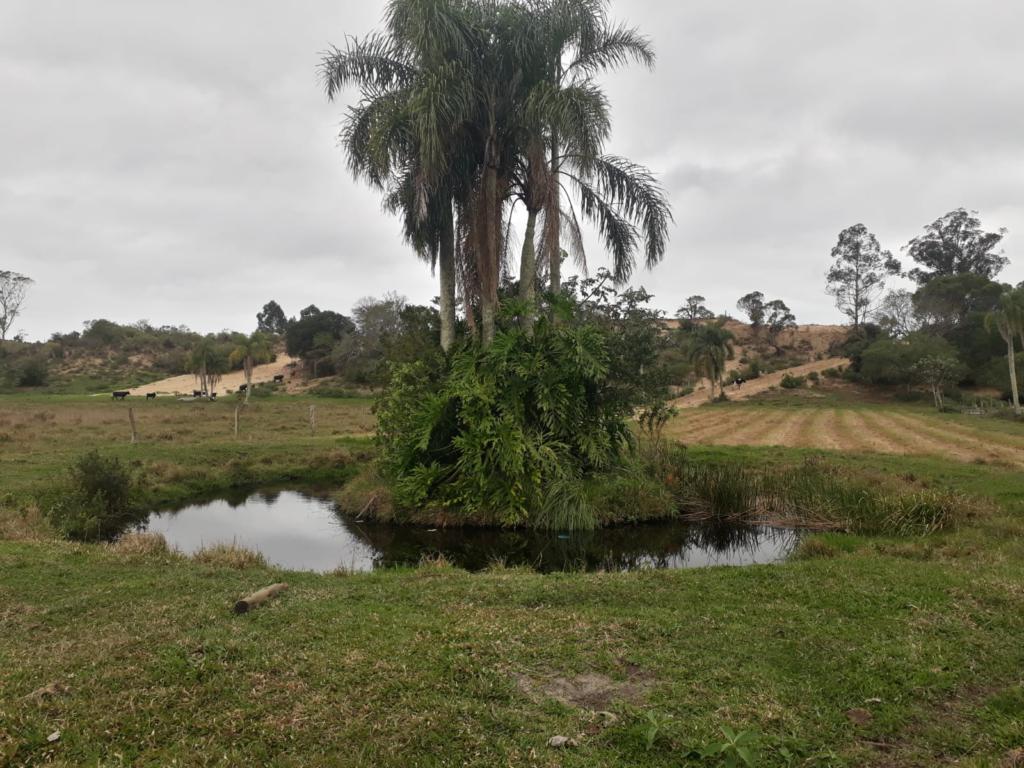 Fazenda à venda com 1 quarto, 45m² - Foto 9