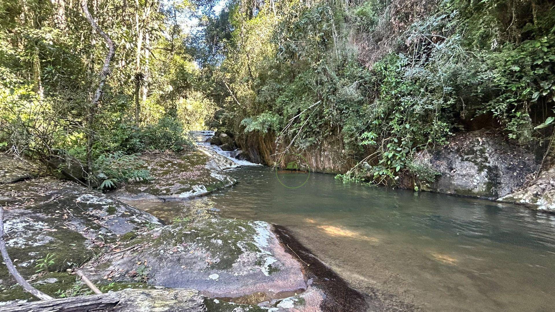 Sítio, 19 hectares - Foto 52