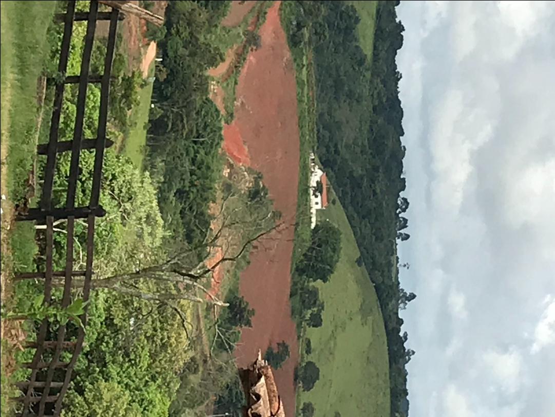 Fazenda à venda com 4 quartos, 1064800M2 - Foto 7