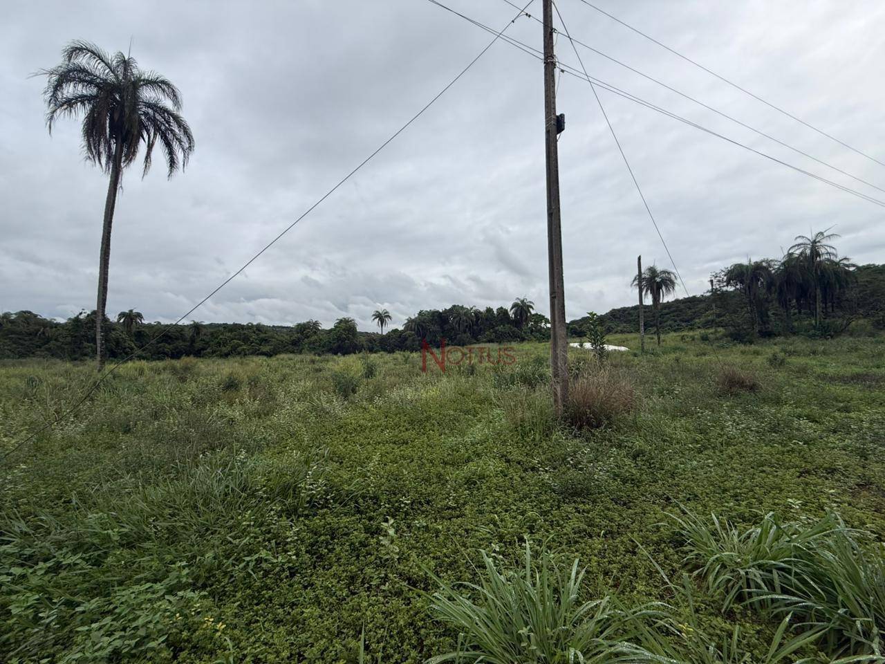 Terreno, 6072 m² - Foto 1