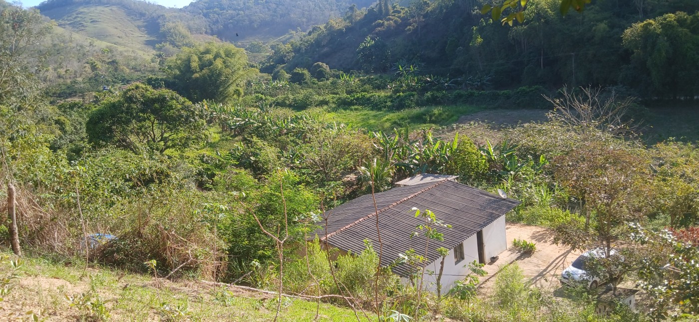 Sítio à venda com 1 quarto, 24800m² - Foto 9