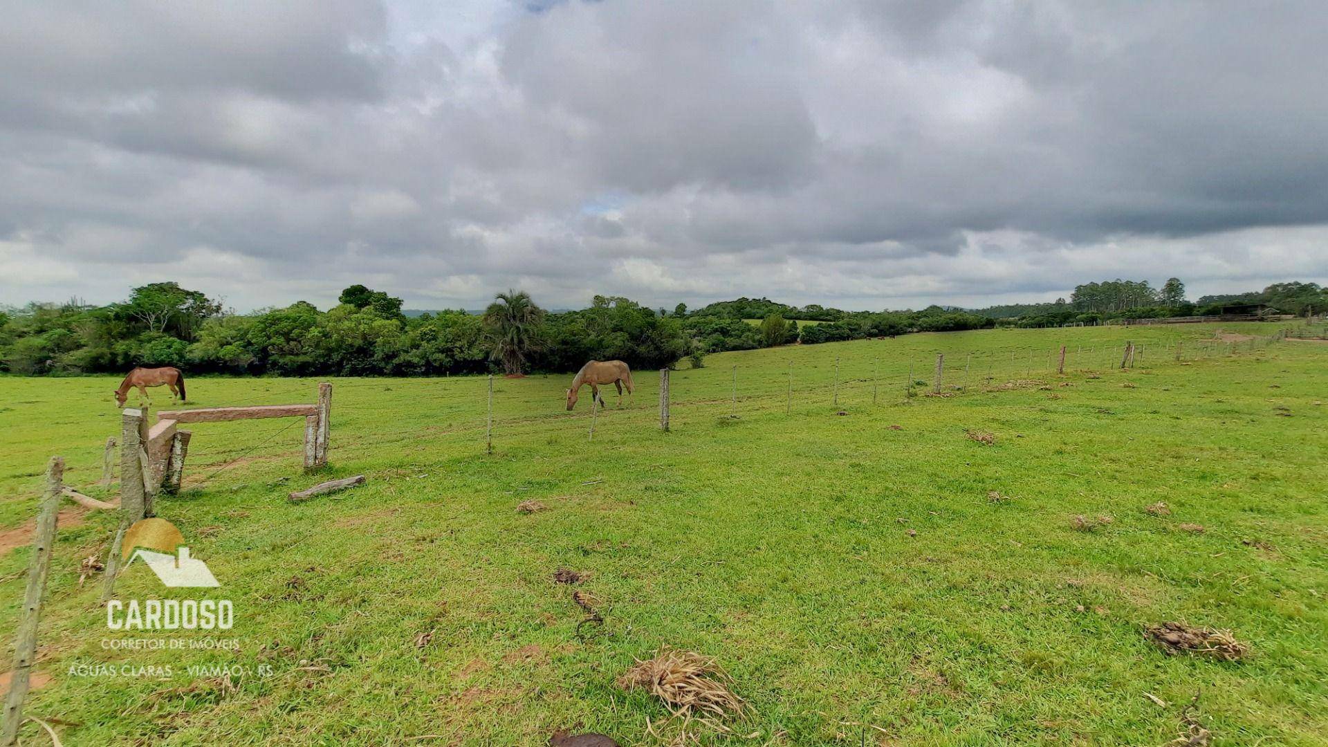 Fazenda à venda, 900000M2 - Foto 4