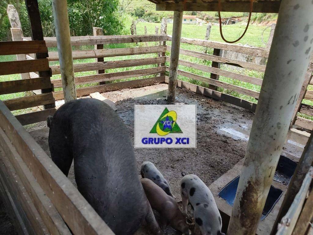 Fazenda à venda, 1060000M2 - Foto 24