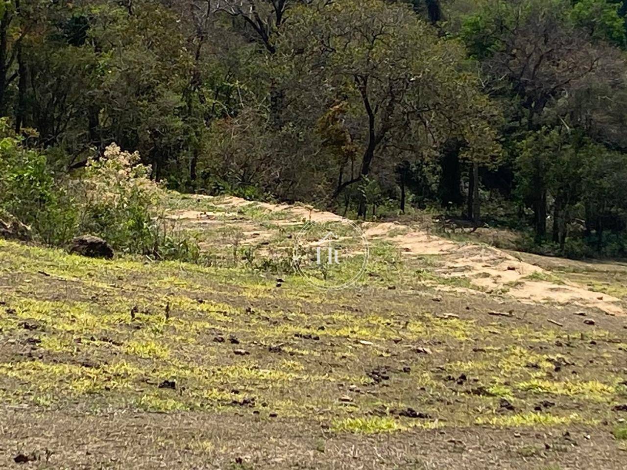 Terreno, 2 hectares - Foto 20