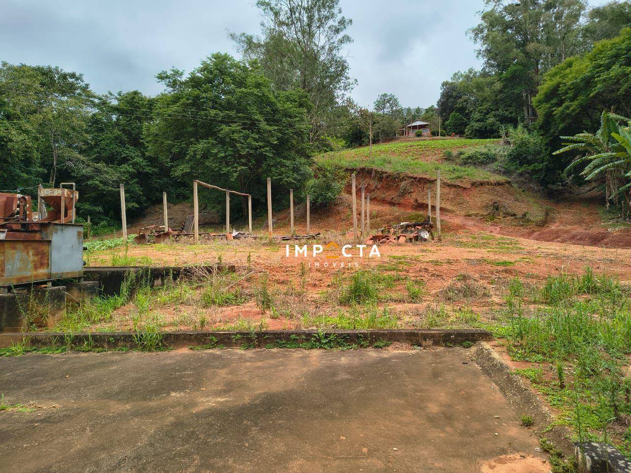 Fazenda, 150 hectares - Foto 4