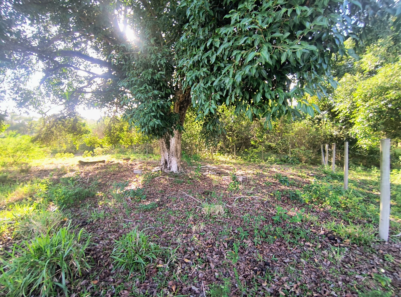 Terreno à venda, 2350m² - Foto 10