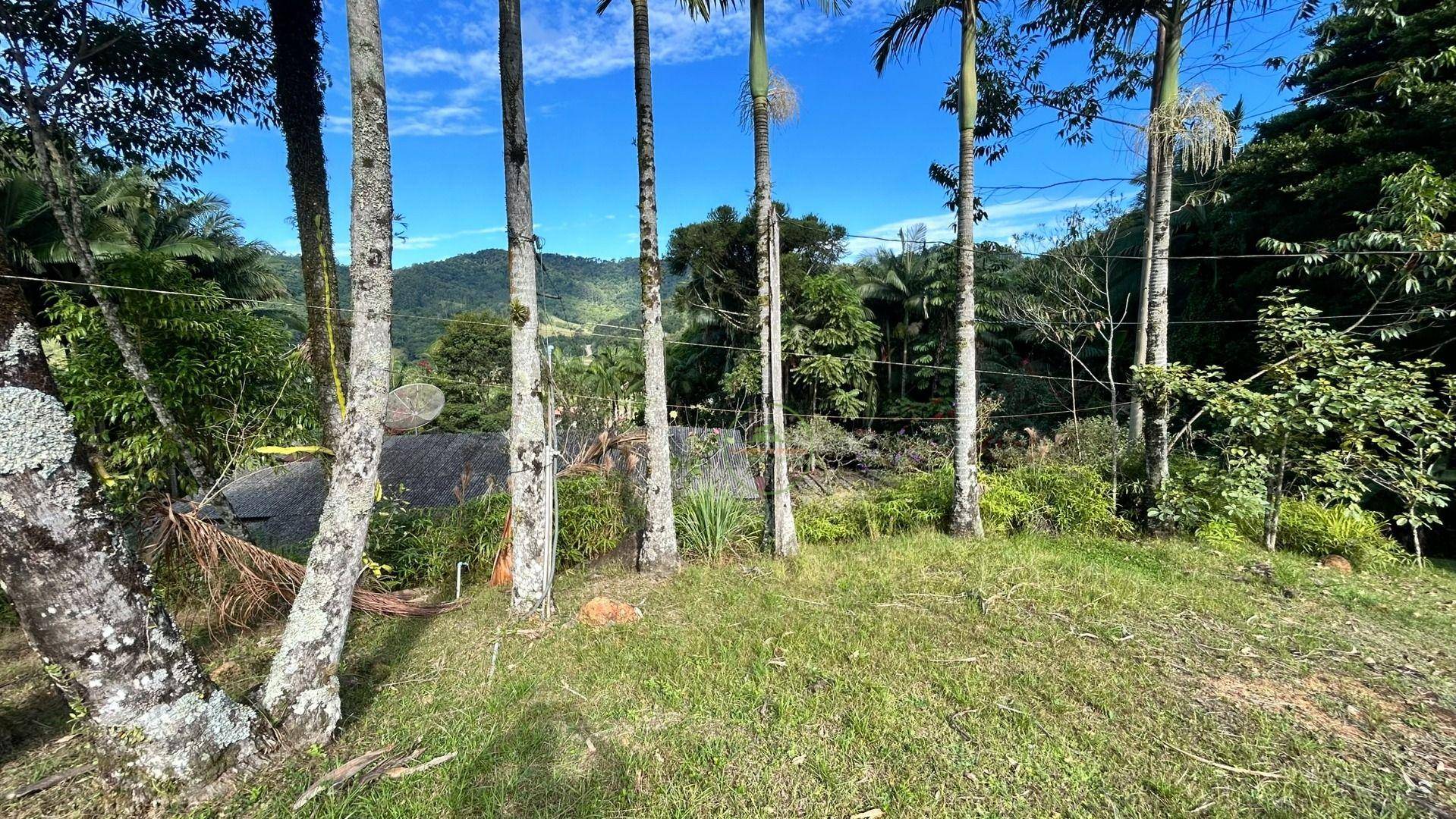 Sítio, 3 hectares - Foto 39