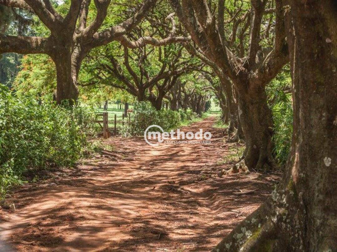 Loteamento e Condomínio à venda, 963M2 - Foto 25