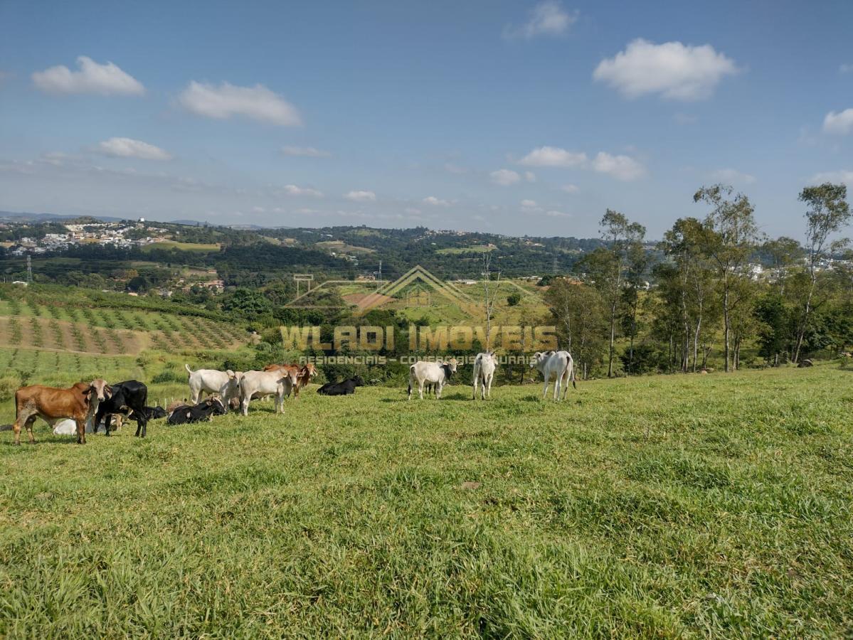 Fazenda à venda, 5m² - Foto 16