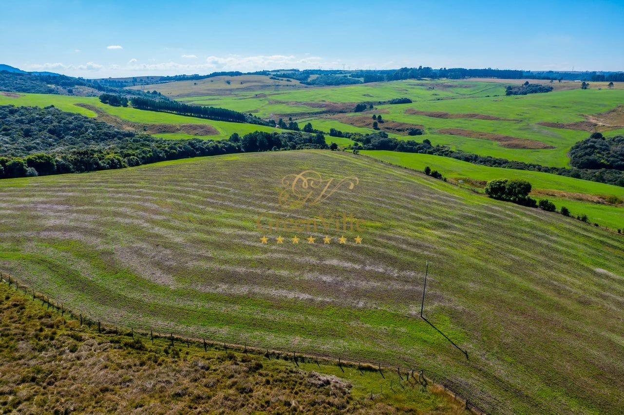 Fazenda-Sítio-Chácara, 242 hectares - Foto 4