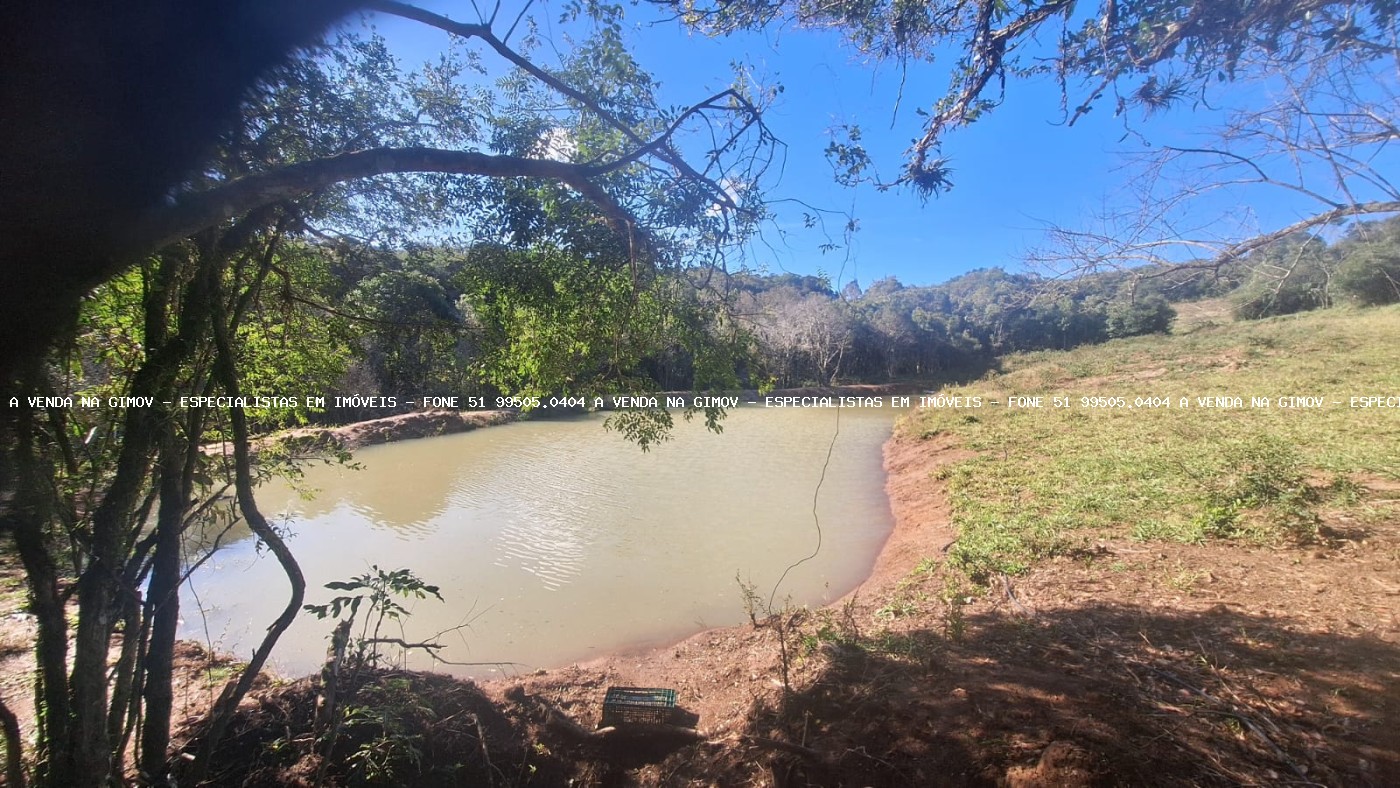 Sítio à venda com 4 quartos, 46500m² - Foto 21