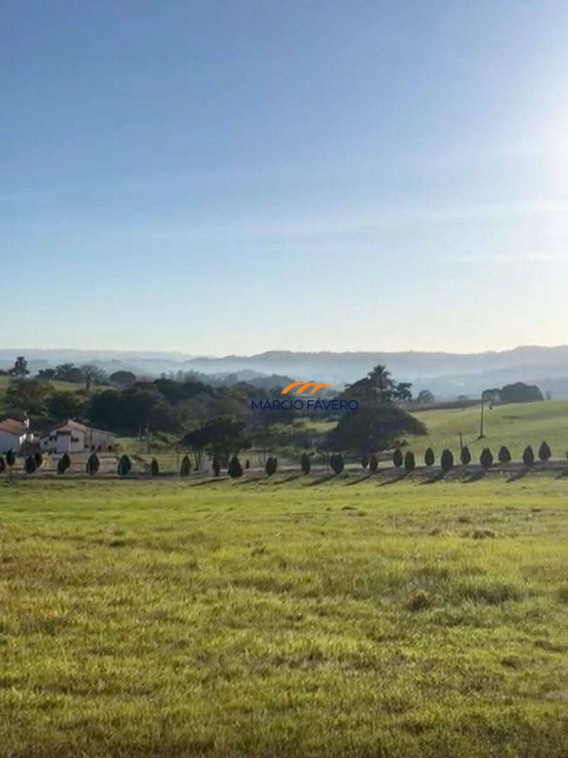 Fazenda, 315 hectares - Foto 3