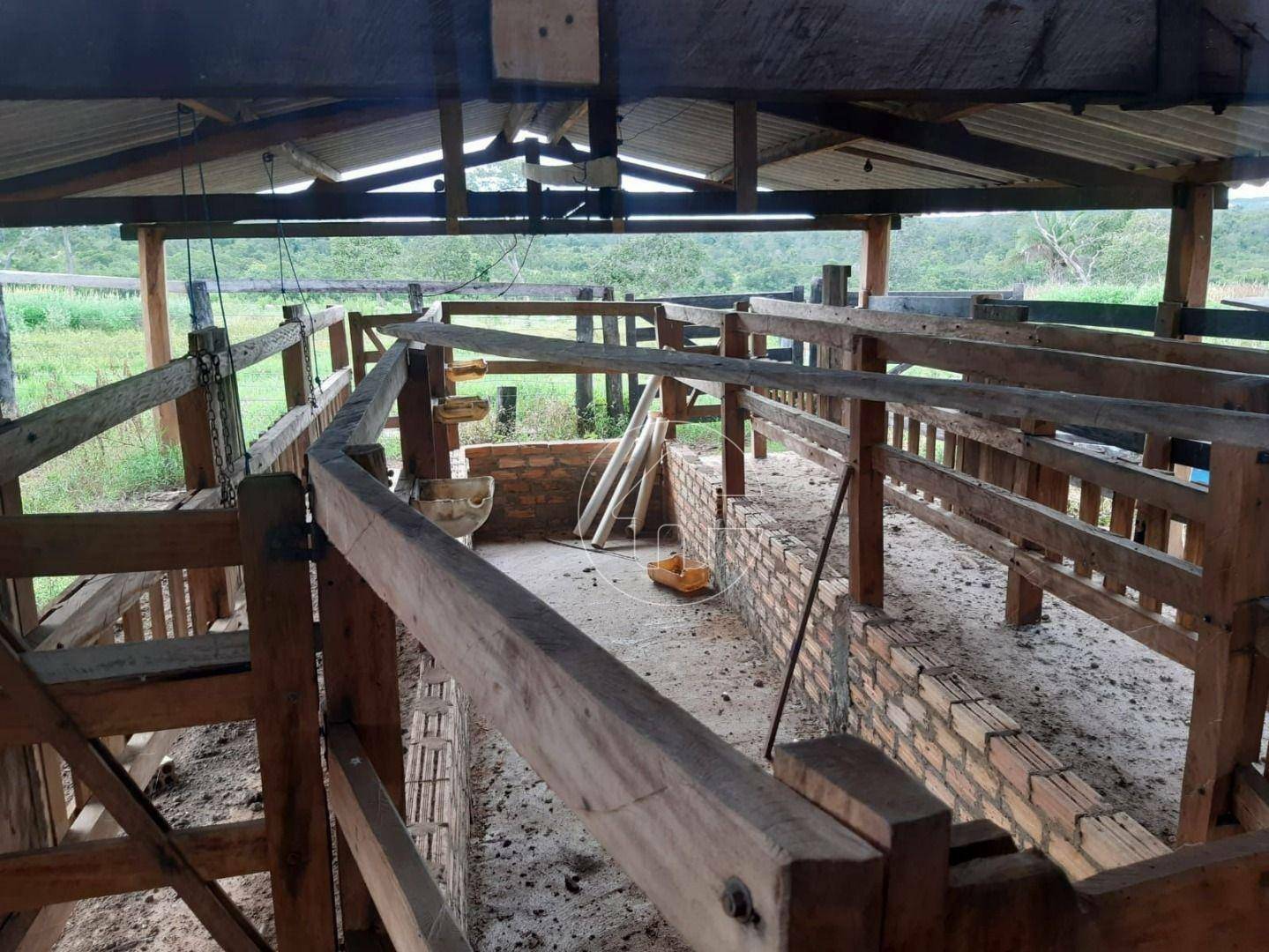 Fazenda à venda, 726000M2 - Foto 4