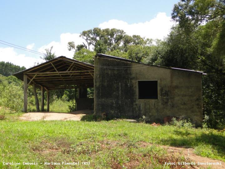 Sítio, 3 quartos, 2 hectares - Foto 32