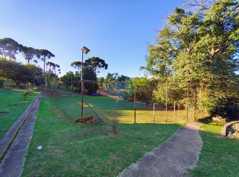 Chácara à venda com 3 quartos, 4200m² - Foto 22