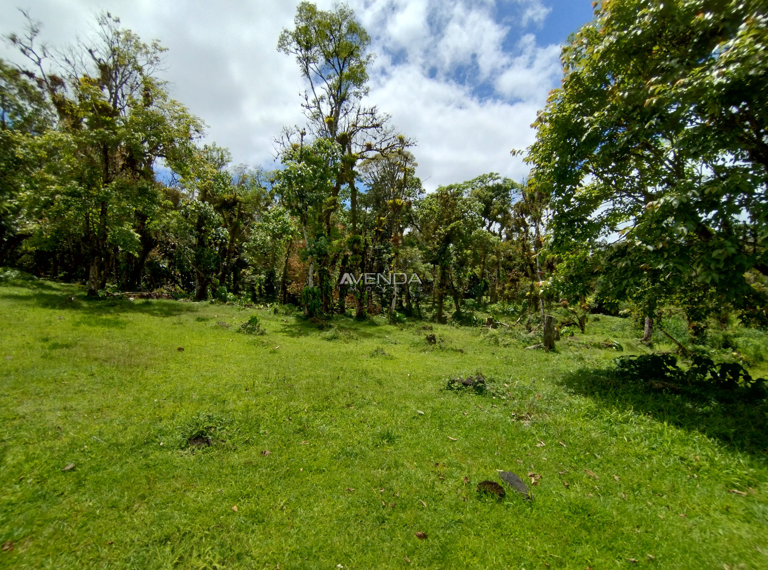 Fazenda à venda com 6 quartos, 208036m² - Foto 12