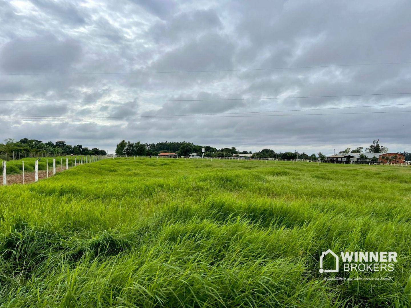 Chácara, 1000 m² - Foto 2