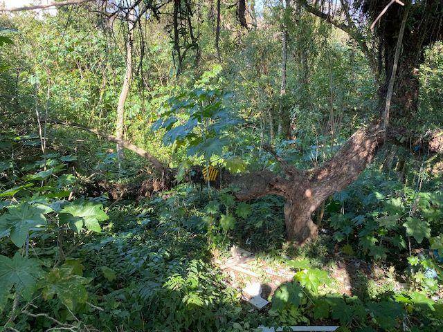 Terreno, 2000 m² - Foto 4