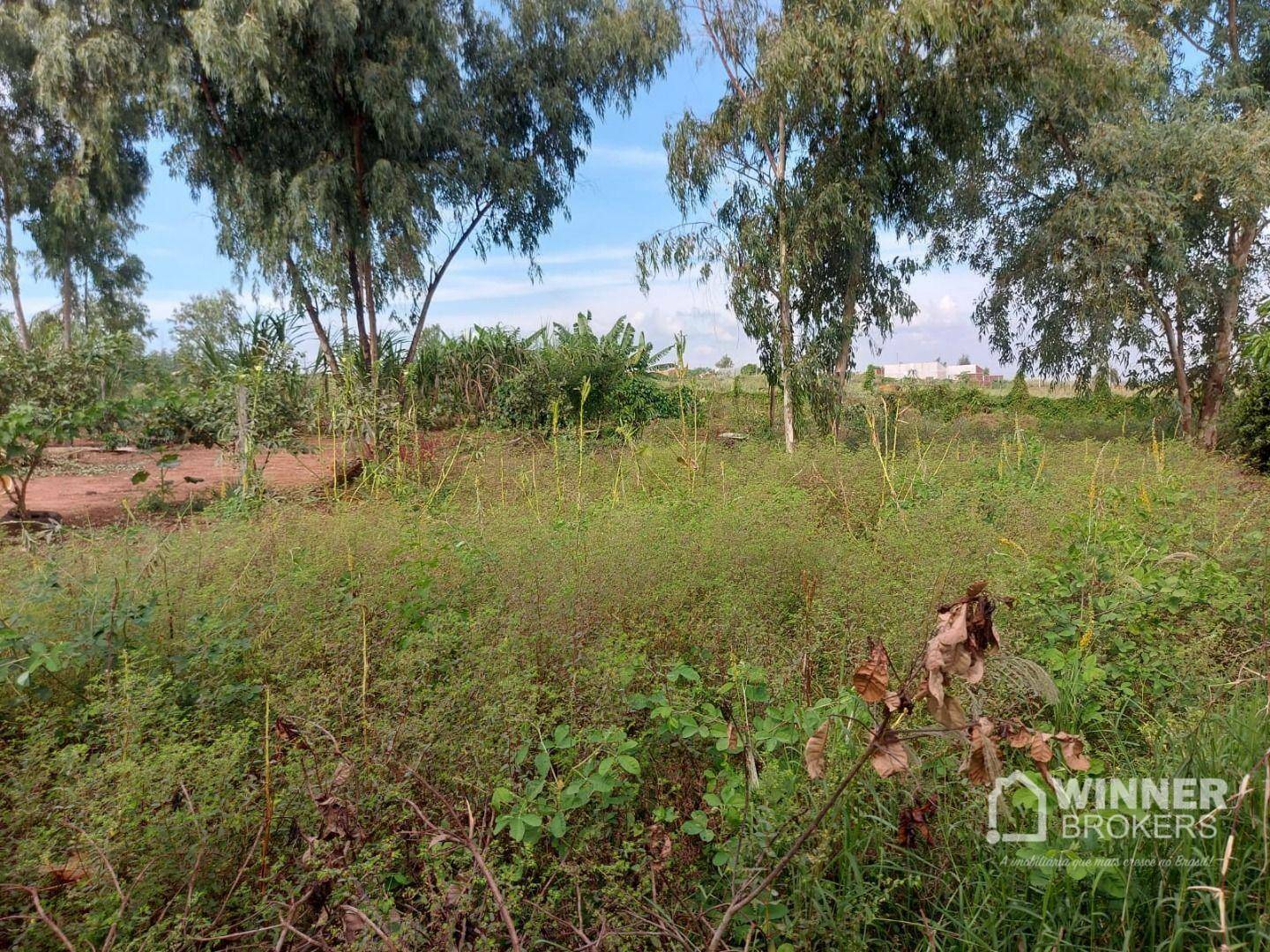 Chácara à venda com 3 quartos, 1500M2 - Foto 51