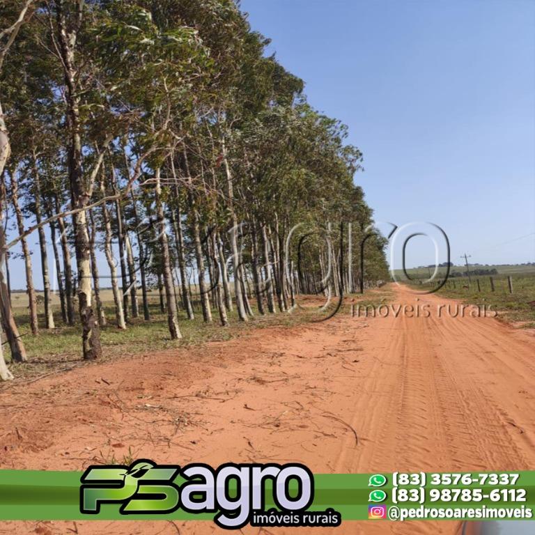 Fazenda à venda, 29669200M2 - Foto 13