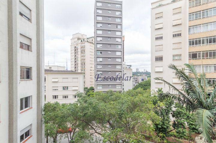 Apartamento à venda com 3 quartos, 246m² - Foto 11