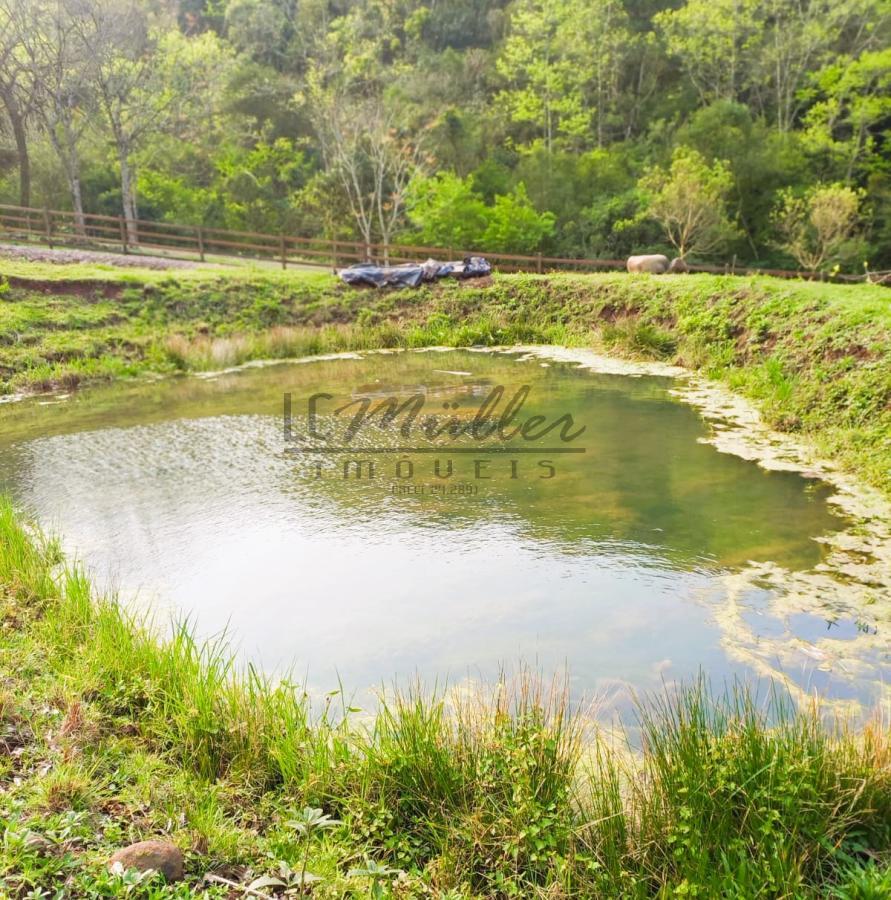 Fazenda à venda - Foto 4