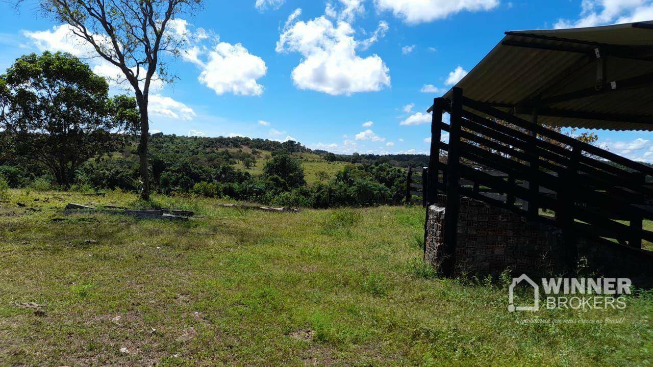 Fazenda à venda com 2 quartos, 4500000M2 - Foto 52