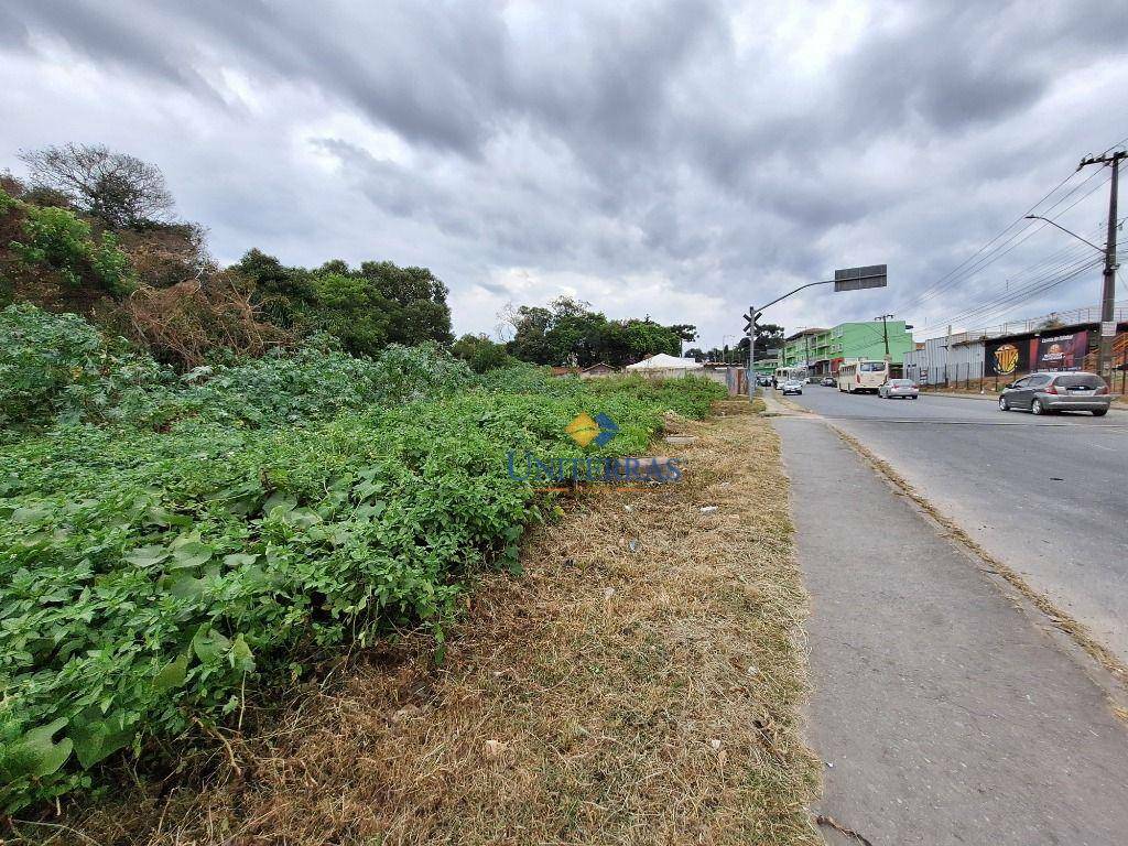 Terreno à venda - Foto 4