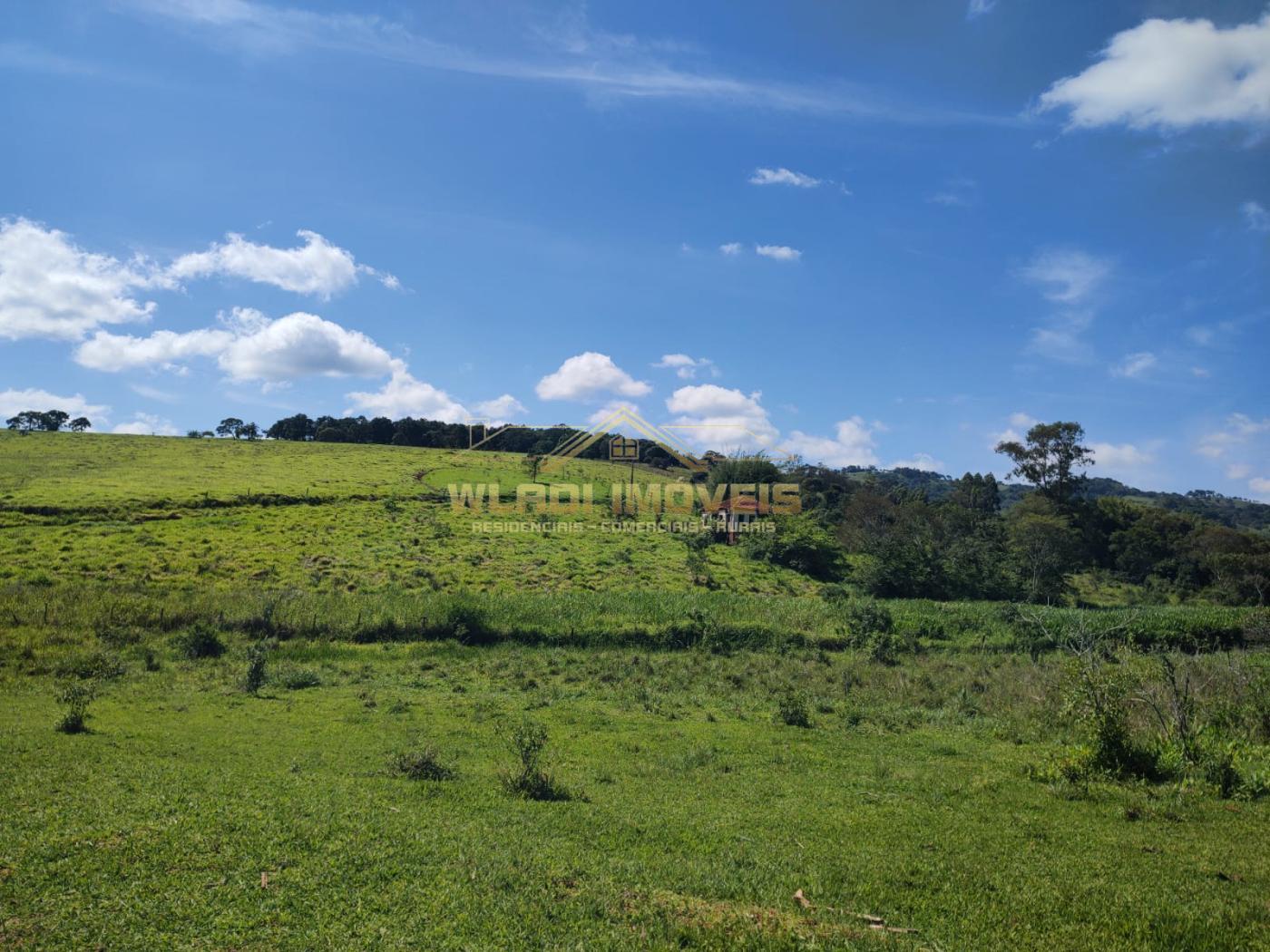 Fazenda à venda, 11m² - Foto 15