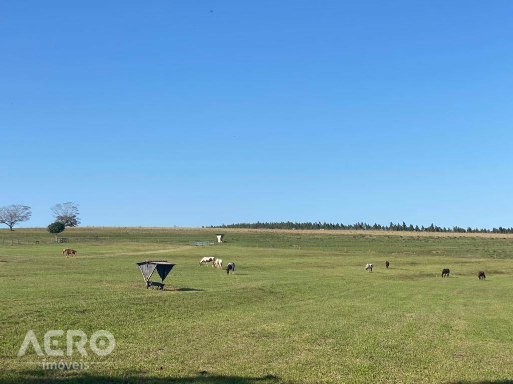 Fazenda à venda com 3 quartos, 400m² - Foto 3